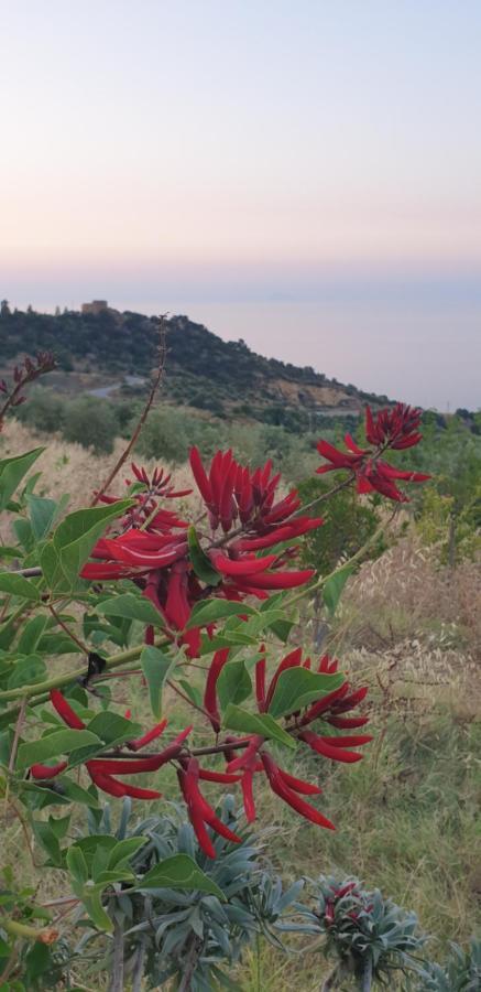 Terre Di Tusa Kültér fotó